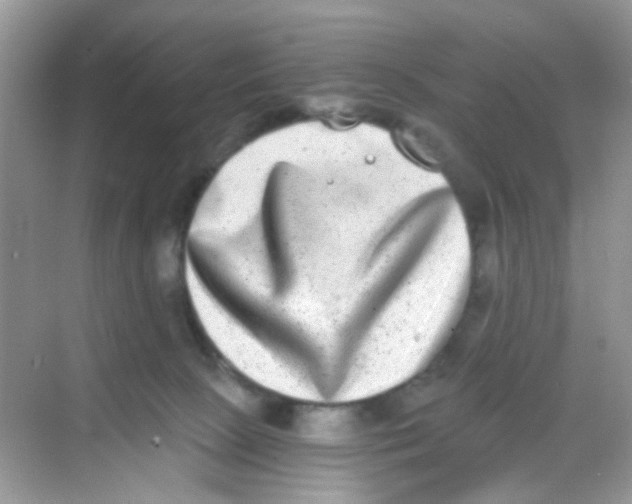 X0000068260081200605121831