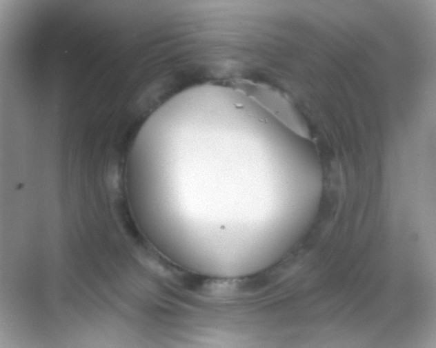 X0000068260084200605121831