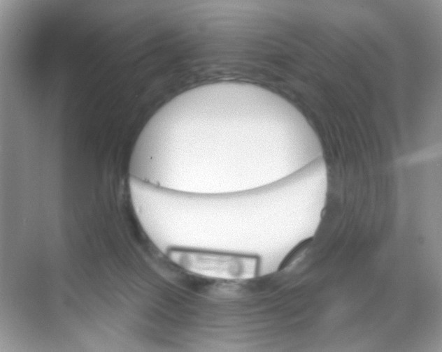 X0000068260086200605121831