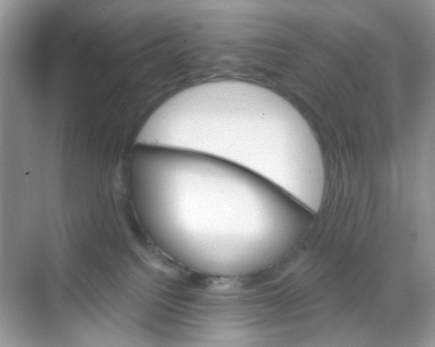 X0000068260088200605121831