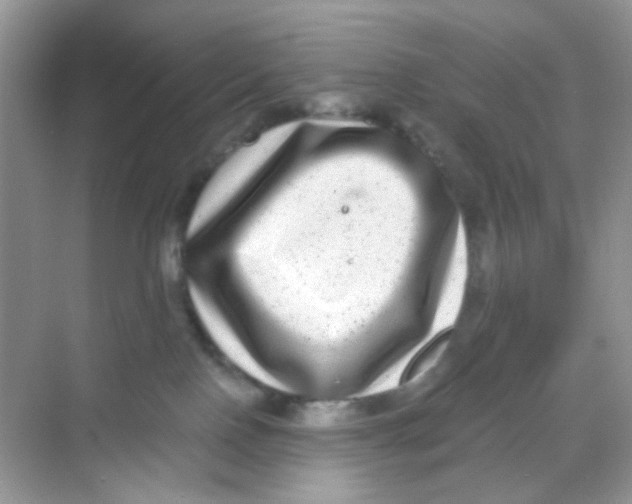 X0000068260090200605121831