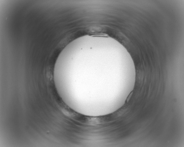 X0000068260091200605121831