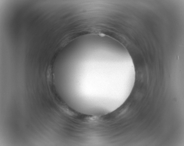 X0000068260092200605121831