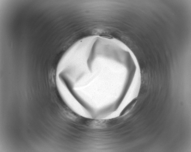 X0000068260094200605121831