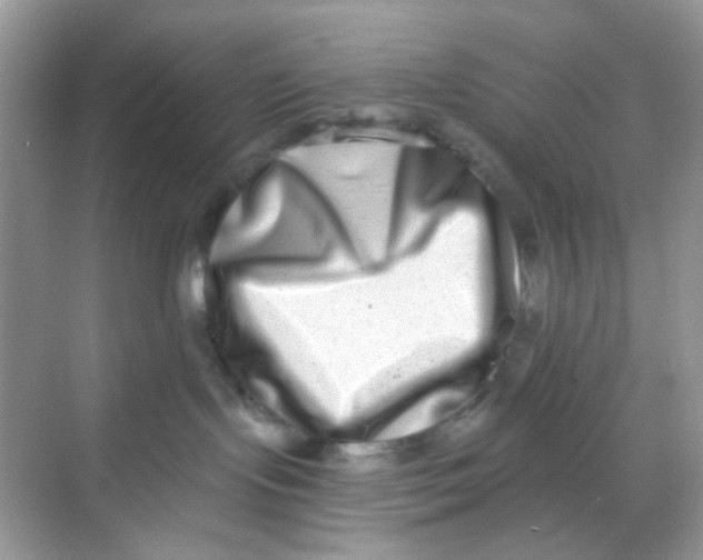 X0000068260095200605121831