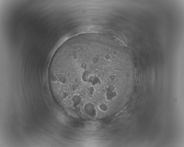 X0000068260099200605121830