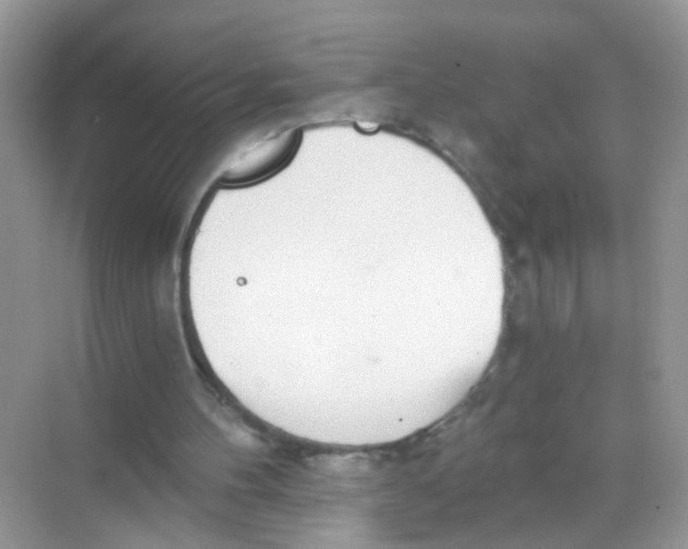 X0000068260100200605121830