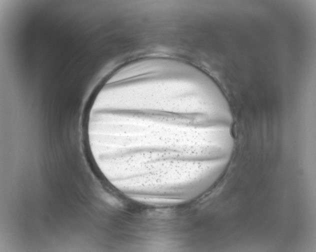 X0000068260102200605121830