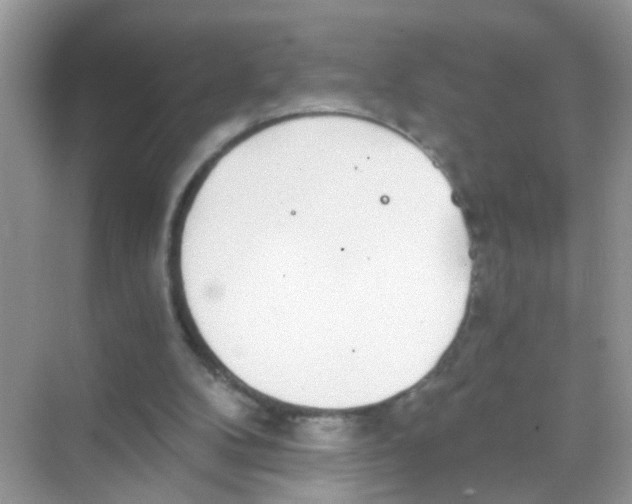 X0000068260104200605121830