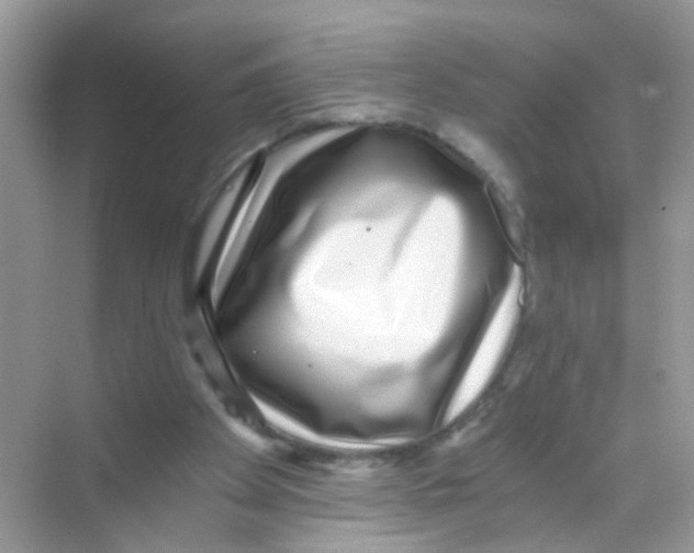 X0000068260105200605121830