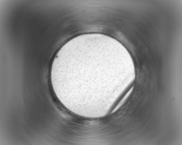 X0000068260107200605121830