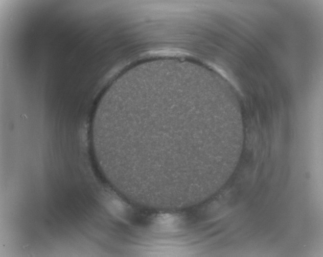 X0000068260111200605121830