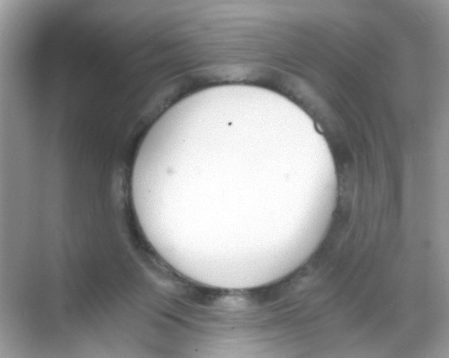 X0000068260119200605121830