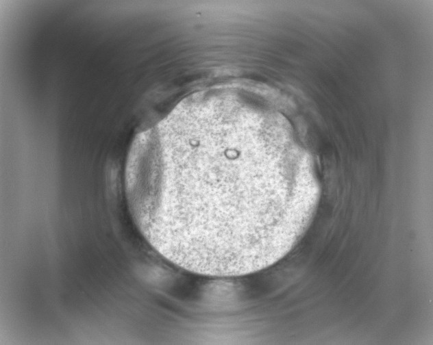 X0000068260123200605121830