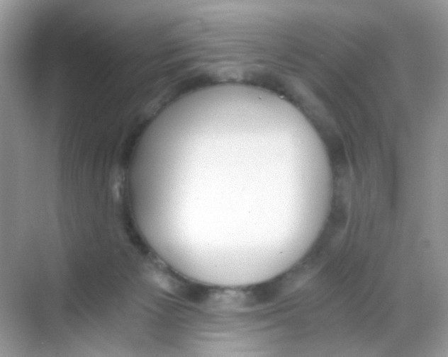 X0000068260125200605121830