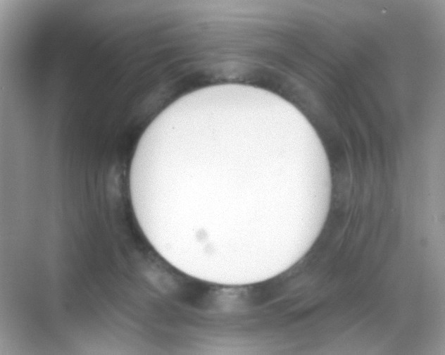 X0000068260126200605121830