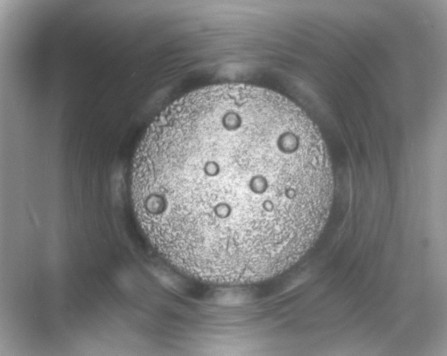 X0000068260127200605121830