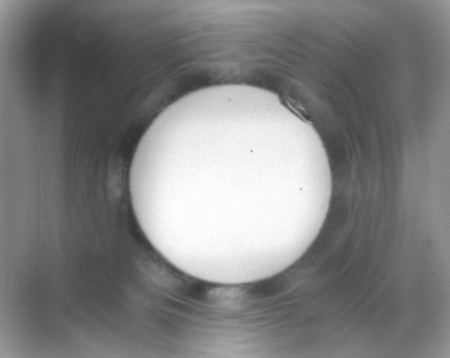 X0000068260133200605121830