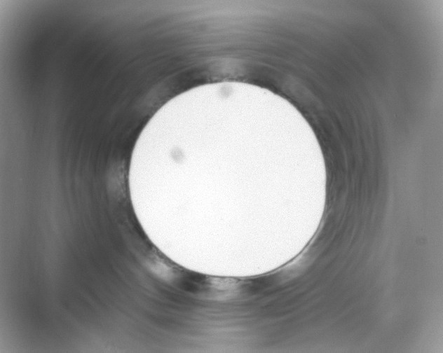 X0000068260144200605121830