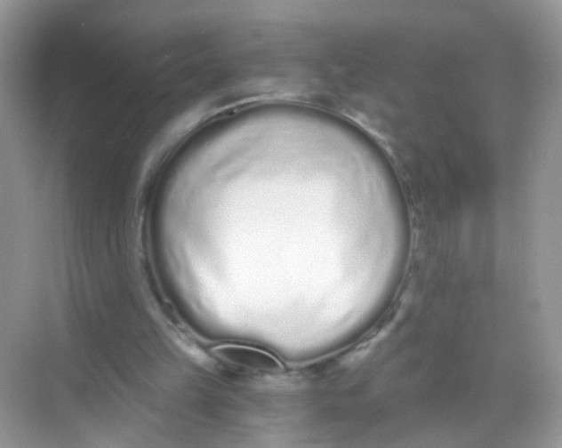 X0000068260149200605121829