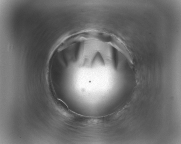 X0000068260152200605121829