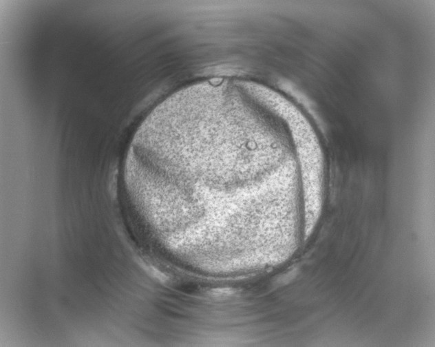 X0000068260153200605121829