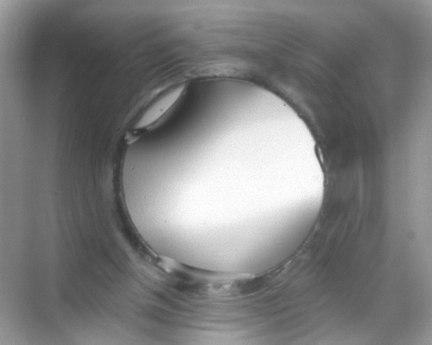 X0000068260154200605121829