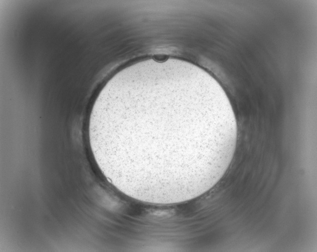 X0000068260155200605121829