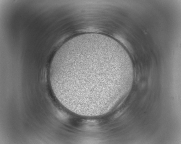 X0000068260157200605121829