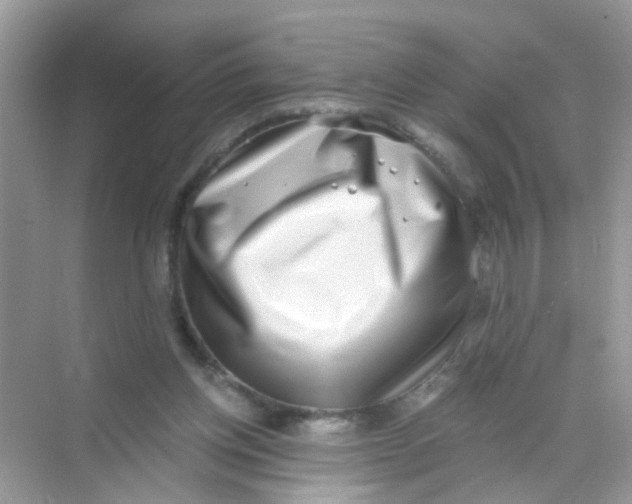 X0000068260158200605121829