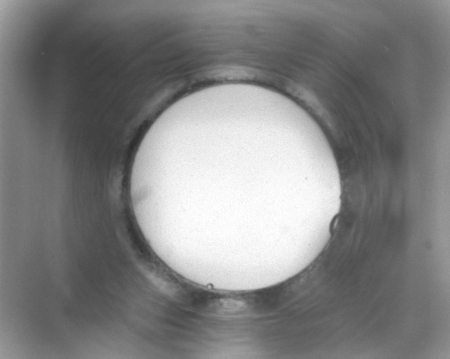 X0000068260159200605121829