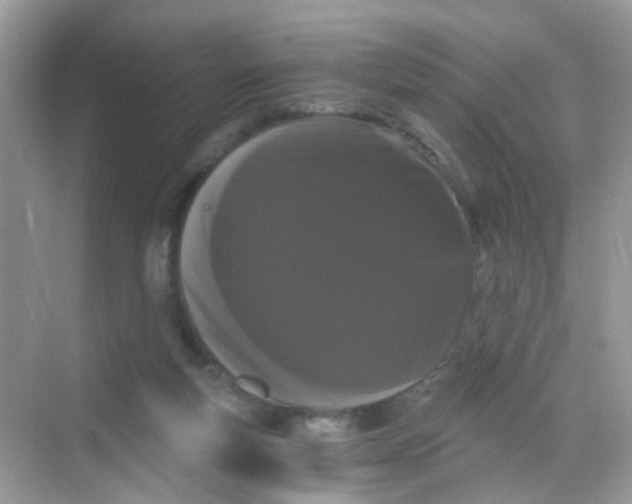 X0000068260163200605121829