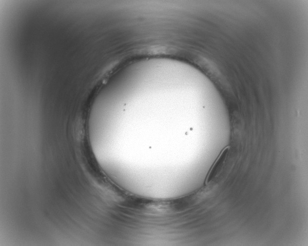 X0000068260164200605121829