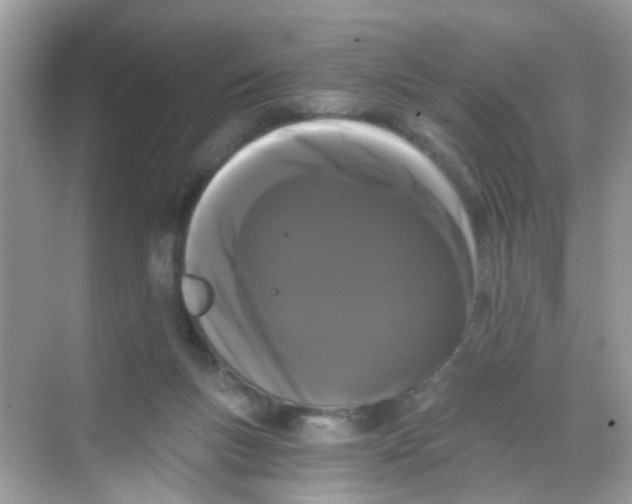 X0000068260167200605121829