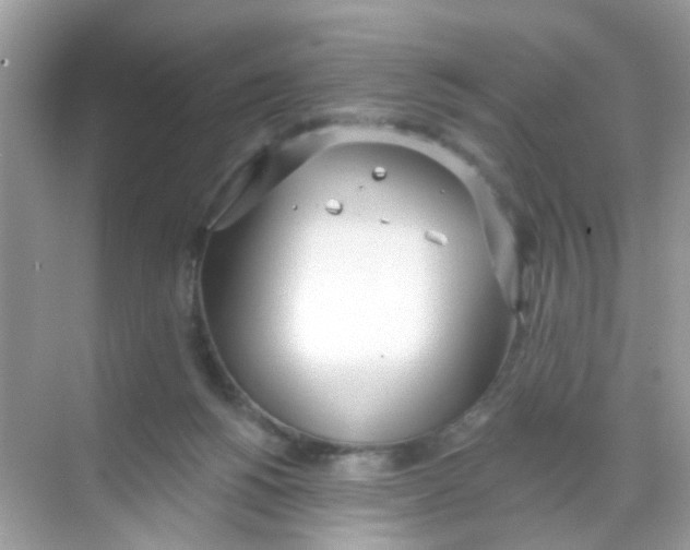 X0000068260168200605121829