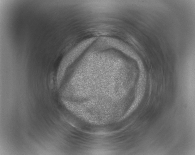 X0000068260169200605121829