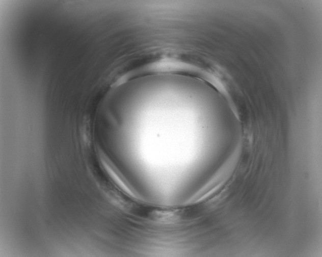 X0000068260170200605121829