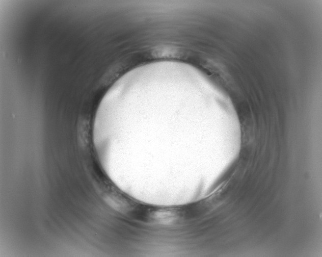 X0000068260171200605121829