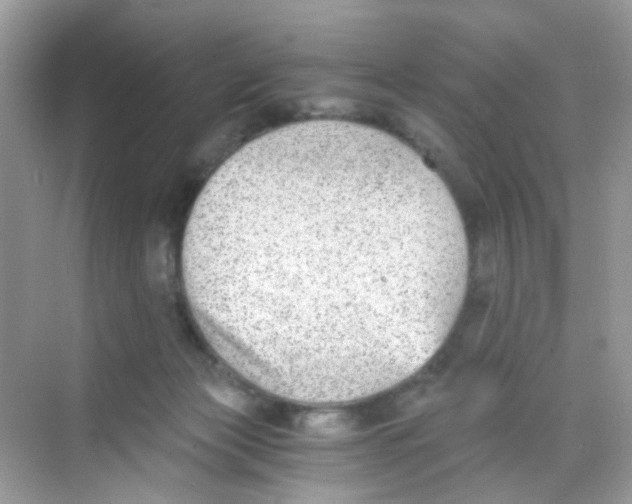 X0000068260173200605121829