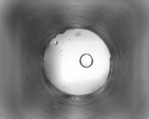 X0000068260174200605121829