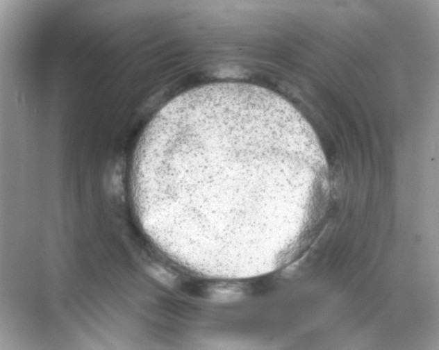 X0000068260175200605121829