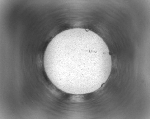 X0000068260179200605121829