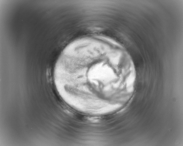 X0000068260182200605121829