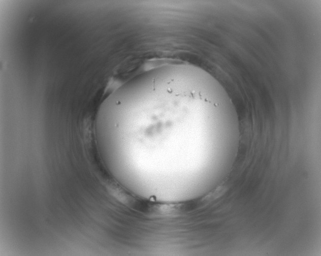 X0000068260184200605121830