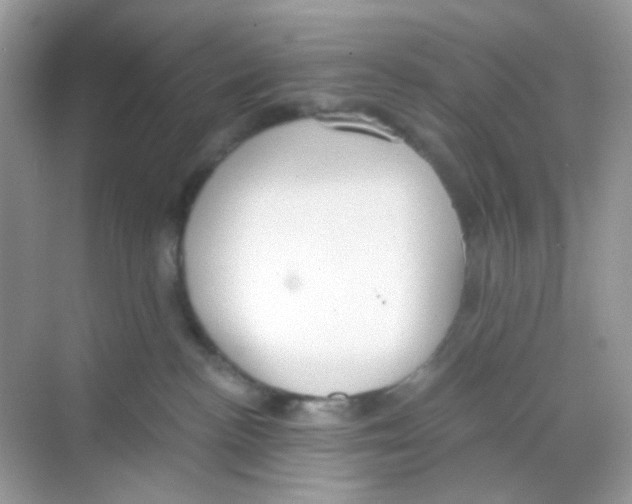 X0000068260188200605121830