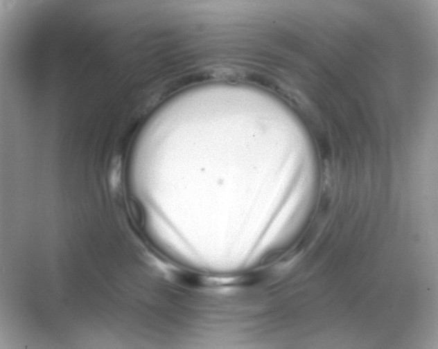 X0000068260189200605121830