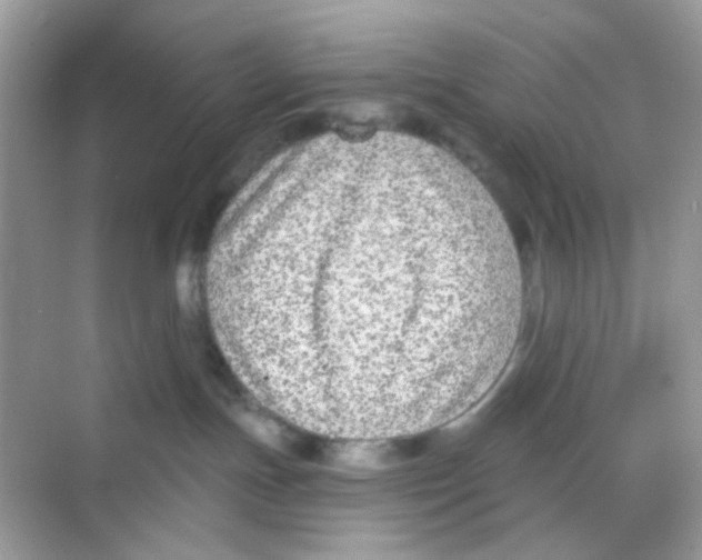 X0000068260191200605121830