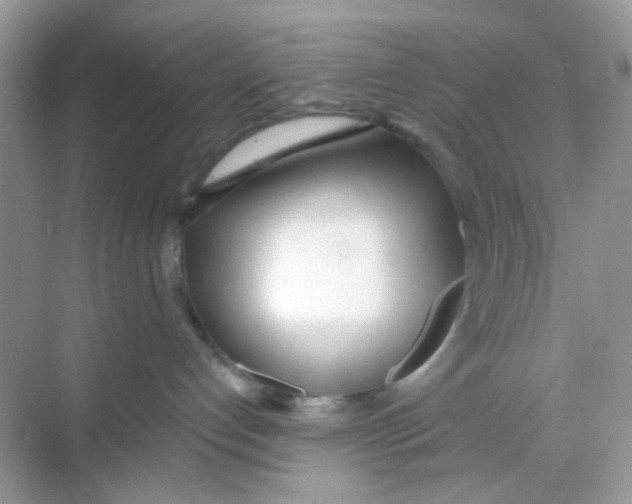 X0000068260192200605121830