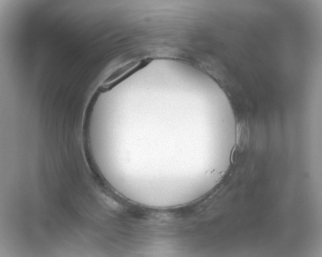 X0000068260195200605121829