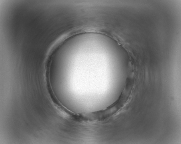 X0000068260197200605121829